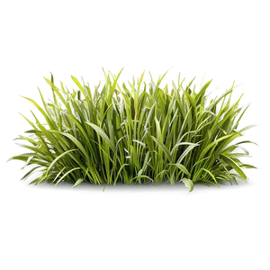 Realistic Grass Clipart Png 24 PNG Image