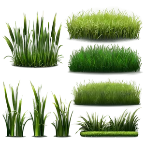 Realistic Grass Clipart Png Adh PNG Image