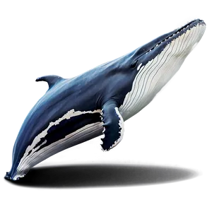 Realistic Humpback Whale Art Png 06212024 PNG Image