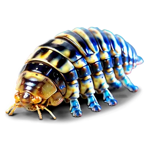 Realistic Isopod Png 06292024 PNG Image