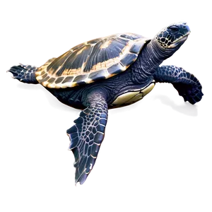 Realistic Leatherback Turtle Illustration Png 06292024 PNG Image