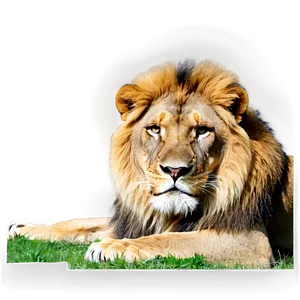 Realistic Lion Features Png Jgd PNG Image