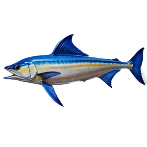 Realistic Marlin Drawing Png 24 PNG Image