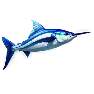 Realistic Marlin Drawing Png Vsa27 PNG Image