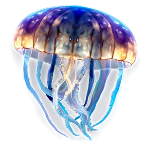 Realistic Moon Jellyfish Design Png Hml38 PNG Image