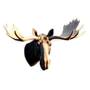 Realistic Moose Head Illustration Png 06292024 PNG Image