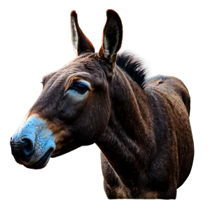 Realistic Mule Artwork Png 06292024 PNG Image