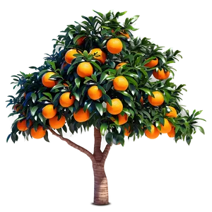 Realistic Orange Tree Png 57 PNG Image