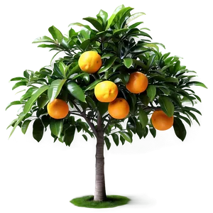 Realistic Orange Tree Png 89 PNG Image