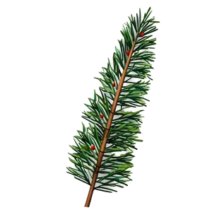 Realistic Pine Branch Png Irx PNG Image