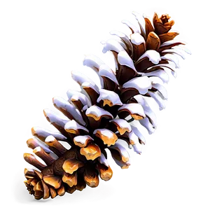 Realistic Pinecone Illustration Png Fnt PNG Image