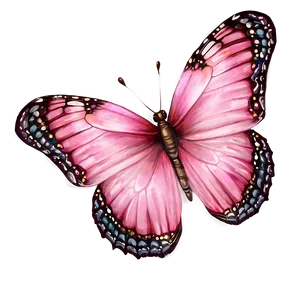 Realistic Pink Butterfly Image PNG 05232024 PNG