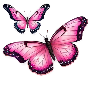 Realistic Pink Butterfly Image PNG 49 PNG
