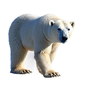 Realistic Polar Bear Png 05062024 PNG Image