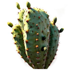 Realistic Prickly Pear Png Ash27 PNG Image