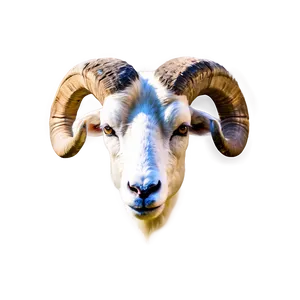 Realistic Ram Head Drawing Png 13 PNG Image