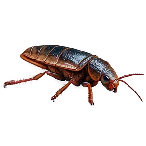 Realistic Roach Png Giv75 PNG Image