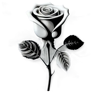 Realistic Rose Black And White Png Dhc PNG Image