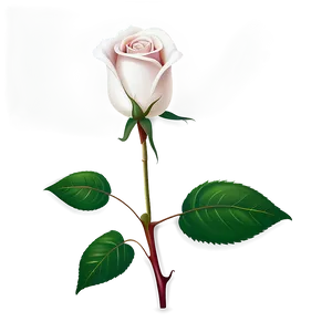 Realistic Rose Vector Image Png 4 PNG Image