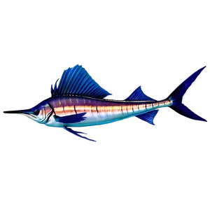 Realistic Sailfish Graphic Png Jvv66 PNG Image