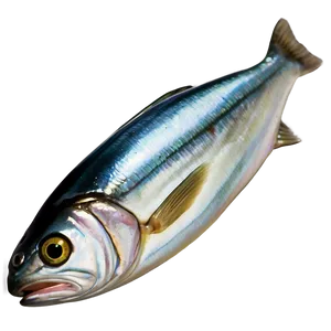 Realistic Sardine Png 6 PNG Image