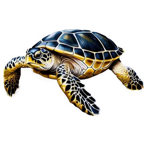 Realistic Sea Turtle Drawing Png 05242024 PNG Image