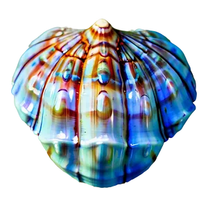 Realistic Seashell Clipart Png Ceh91 PNG Image