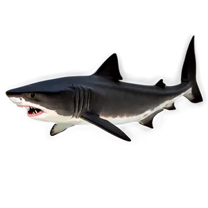 Realistic Shark Jaw Image Png Ybc57 PNG Image