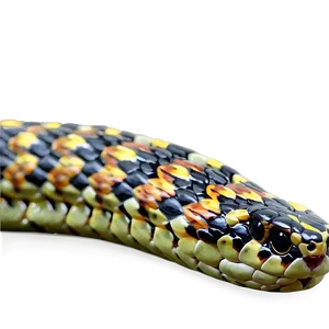 Realistic Snake Png 36 PNG Image