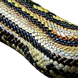 Realistic Snake Skin Pattern Png Dds79 PNG Image