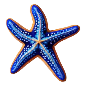 Realistic Starfish Drawing Png Mob PNG Image