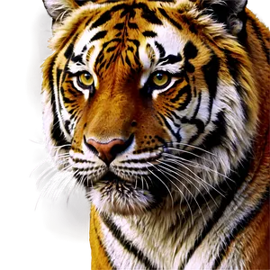 Realistic Tiger Face Artwork Png 56 PNG Image