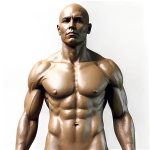 Realistic Torso Sculpture Png 06282024 PNG Image