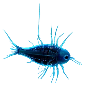 Realistic Zooplankton Png 06292024 PNG Image