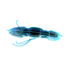 Realistic Zooplankton Png 92 PNG Image