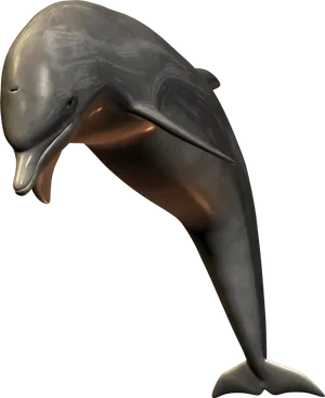 Realistic3 D Dolphin Model PNG Image