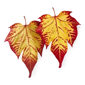 Red And Yellow Fallen Leaves Png Ohu51 PNG Image