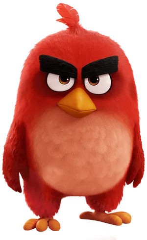 Red Angry Bird Character PNG Image