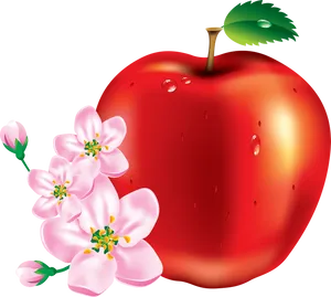 Red Apple With Blossoms PNG Image