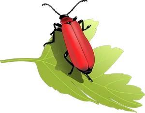 Red Beetleon Green Leaf PNG Image