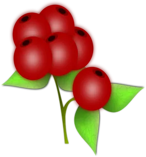 Red Berries Illustration PNG Image