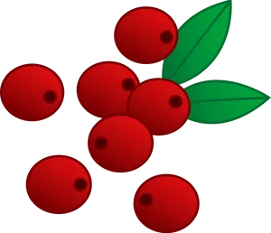 Red Berries Illustration PNG Image