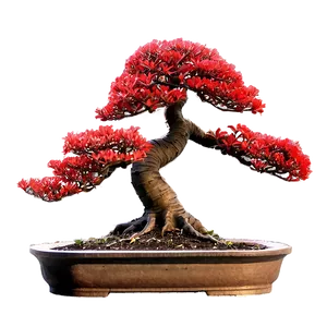 Red Bonsai Tree Drawing Png Tfg PNG Image