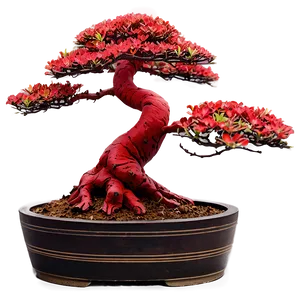 Red Bonsai Tree Drawing Png Wpr78 PNG Image