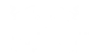 Red Bull Logo Whiteon Dark Background PNG Image