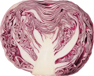 Red Cabbage Cross Section.png PNG Image