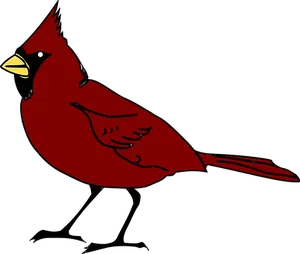 Red Cardinal Bird Illustration PNG Image