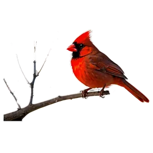 Red Cardinal Silhouette Png 06292024 PNG Image