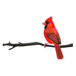 Red Cardinal Vector Png 06292024 PNG Image