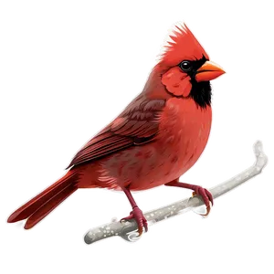 Red Cardinal Vector Png Tyc92 PNG Image